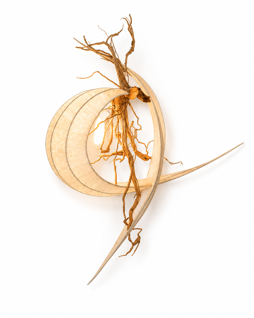 The Cove Wall Light by The Qratist features handcrafted driftwood and woven banana fibre paper arranged in a sculptural crescent design that creates warm ambient illumination.