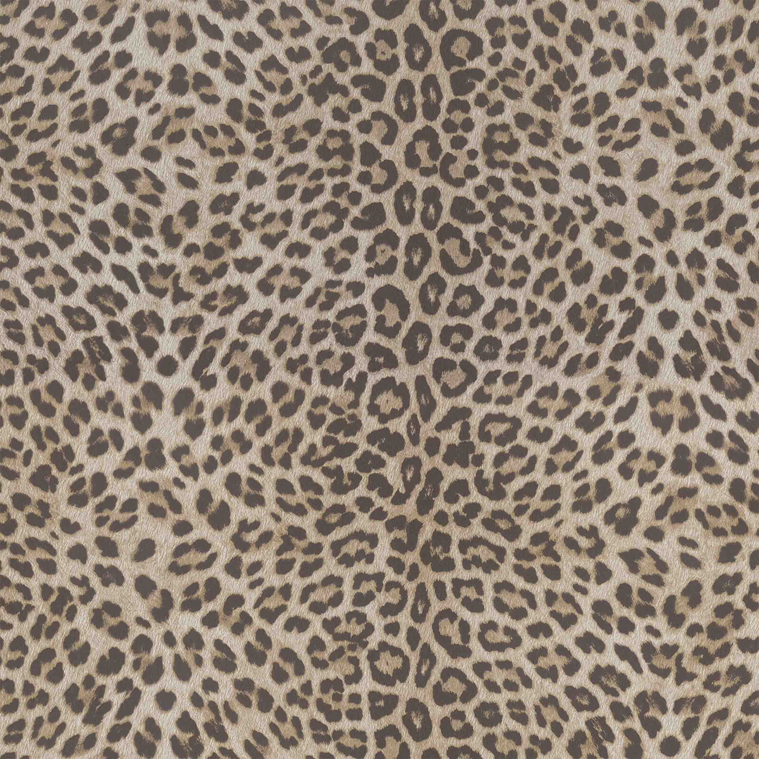 Close-up of cheetah-print vinyl wallpaper showcasing its intricate black and brown design.